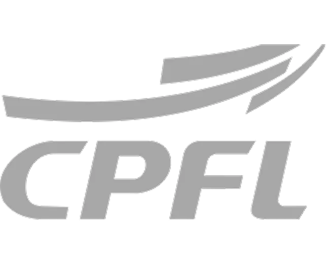 Logo parceiro 3 da Solfer Transportes